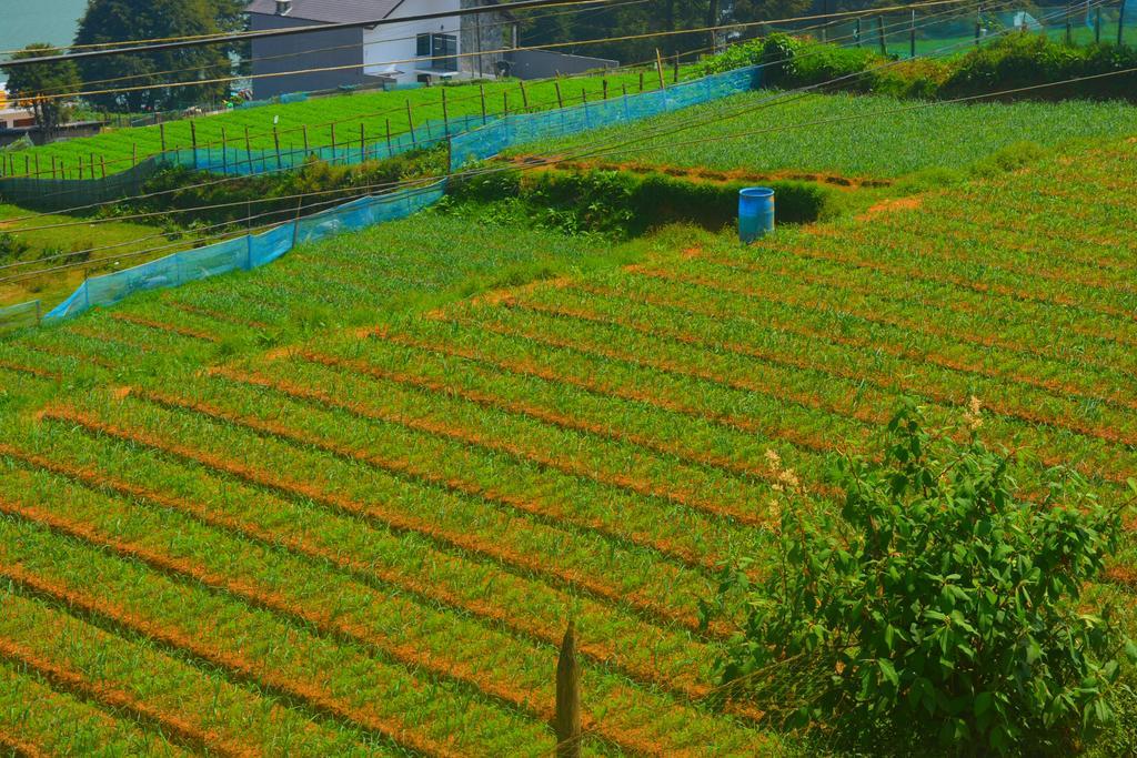 Guest House Hill Paradise Nuwara Eliya Exterior photo